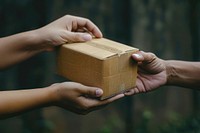 Hand giving cardboard box package indoors carton.