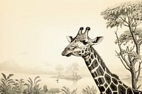 Giraffe drawing giraffe illustrated.