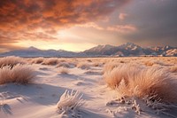 Desert winter landscape panoramic outdoors.