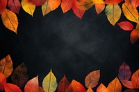 Autumn theme backgrounds outdoors nature.