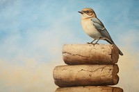 Close up on pale stack of bird flying painting animal blue.