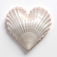 Heart shell white background invertebrate.