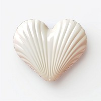 Heart shell white background invertebrate.