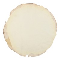 Backgrounds circle shape paper.