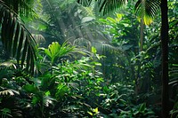Jungle vegetation outdoors nature.