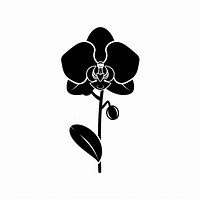 A orchid flower blossom stencil plant.