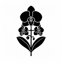 A orchid flower silhouette stencil blossom.