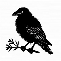 A pollow silhouette blackbird agelaius.