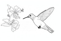 Hummingbird drawing art illustrated.
