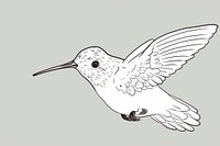Hummingbird art animal.