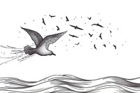 Birds flying drawing animal sketch.