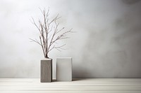 Vase with dry branch stick architecture plant tree.