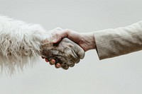 Yeti hand shaking hand human person animal.