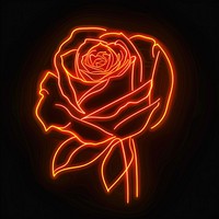 Rose icon neon blackboard lighting.