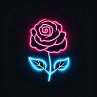 Rose icon neon astronomy outdoors.