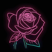 Rose icon neon blackboard lighting.