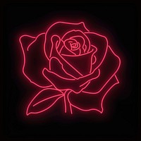 Rose icon neon blackboard blossom.