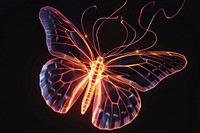 Butterfly glowing pattern animal.