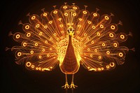 Peacock glowing animal bird.