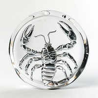 Scorpius zodiac symbol invertebrate accessories accessory.