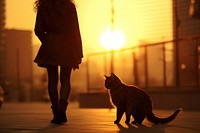 Cat silhouette photography backlighting clothing apparel.