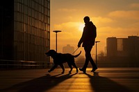 Dog silhouette photography man backlighting animal.