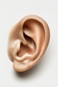 Realistic model of human ear white background jewelry person.