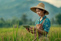 Thai woman farmer in a green rice field using a digital tablet countryside clothing outdoors.