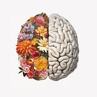 Flower nature plant brain.