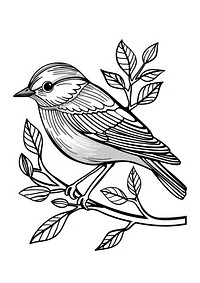 Bird sketch art illustrated.
