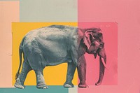 Retro collage of elephant wildlife painting animal.