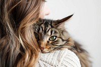 Kiss cat on shoulder portrait mammal animal.