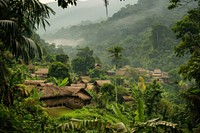 Village in rainforest Jungle jungle countryside vegetation.