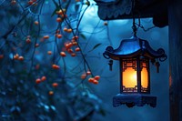 Chinese lantern lampshade lighting.