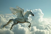 Pegasus stallion animal mammal.