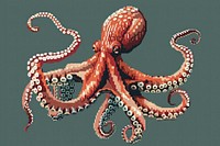 Octopus cut pixel transportation invertebrate automobile.