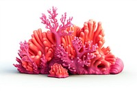 Coral reef color full minimal invertebrate outdoors dessert.