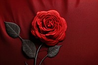 Flower rose plant red.