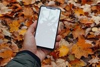 Blank smartphone mockup autumn photo electronics.