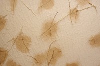 Plant fibre mulberry paper texture stain.