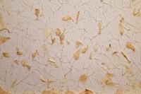Plant fibre mulberry paper corrosion home damage.