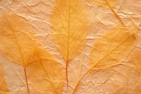 Plant fibre mulberry paper texture tobacco leaf.