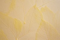Plant fibre mulberry paper texture leaf tree.