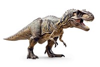 Dinosaur reptile animal t-rex.
