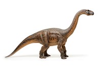 Mamenchisaurus sinocanadorum dinosaur reptile animal.