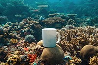 Nature mug sea underwater.