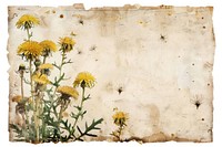 Vintage frame of dandelion flower plant paper.