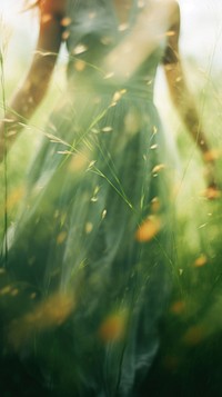 A grassland photography sunlight outdoors.