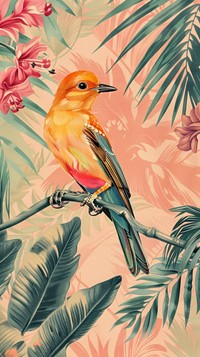 Wallpaper Bird bird painting animal.