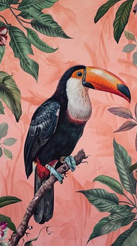 Wallpaper Bird bird outdoors toucan.